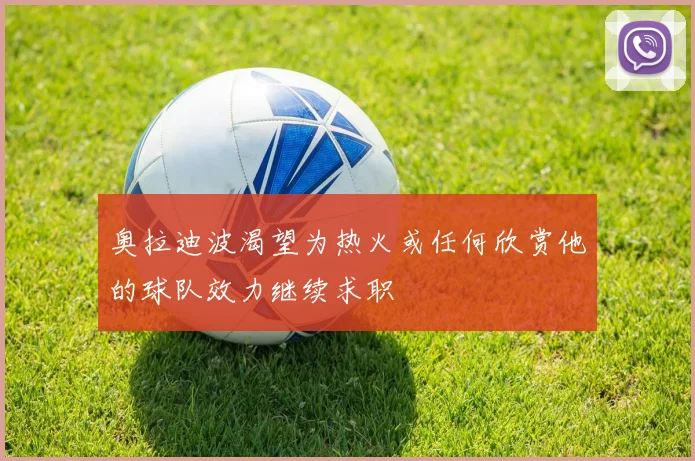 奥拉迪波渴望为热火或任何欣赏他的球队效力继续求职