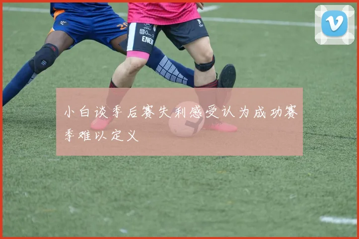 小白谈季后赛失利感受认为成功赛季难以定义